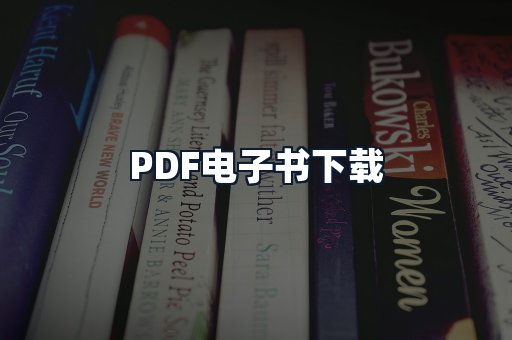 PDF电子书下载